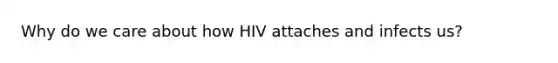 Why do we care about how HIV attaches and infects us?