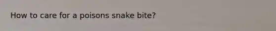 How to care for a poisons snake bite?