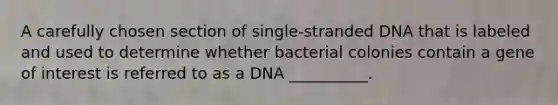 A carefully chosen section of single-stranded DNA that is labeled and used to determine whether bacterial colonies contain a gene of interest is referred to as a DNA __________.