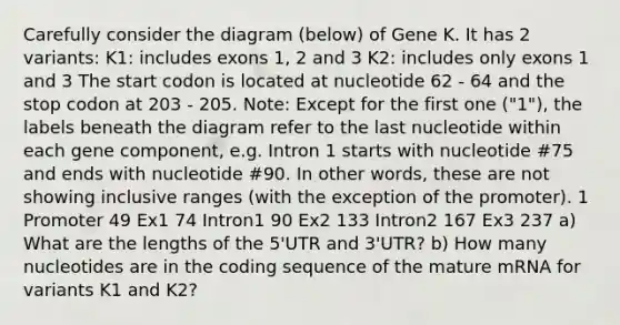 Carefully consider the diagram (below) of Gene K. It has 2 variants: K1: includes exons 1, 2 and 3 K2: includes only exons 1 and 3 The start codon is located at nucleotide 62 - 64 and the stop codon at 203 - 205. Note: Except for the first one ("1"), the labels beneath the diagram refer to the last nucleotide within each gene component, e.g. Intron 1 starts with nucleotide #75 and ends with nucleotide #90. In other words, these are not showing inclusive ranges (with the exception of the promoter). 1 Promoter 49 Ex1 74 Intron1 90 Ex2 133 Intron2 167 Ex3 237 a) What are the lengths of the 5'UTR and 3'UTR? b) How many nucleotides are in the coding sequence of the mature mRNA for variants K1 and K2?