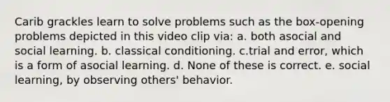 Carib grackles learn to solve problems such as the box-opening problems depicted in this video clip via: a. both asocial and social learning. b. <a href='https://www.questionai.com/knowledge/kI6awfNO2B-classical-conditioning' class='anchor-knowledge'>classical conditioning</a>. c.trial and error, which is a form of asocial learning. d. None of these is correct. e. social learning, by observing others' behavior.