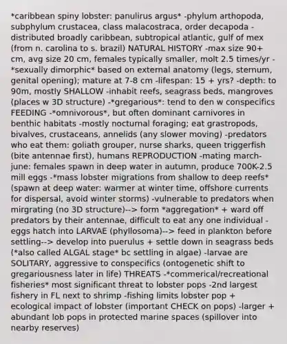 *caribbean spiny lobster: panulirus argus* -phylum arthopoda, subphylum crustacea, class malacostraca, order decapoda -distributed broadly caribbean, subtropical atlantic, gulf of mex (from n. carolina to s. brazil) NATURAL HISTORY -max size 90+ cm, avg size 20 cm, females typically smaller, molt 2.5 times/yr -*sexually dimorphic* based on external anatomy (legs, sternum, genital opening); mature at 7-8 cm -lifespan: 15 + yrs? -depth: to 90m, mostly SHALLOW -inhabit reefs, seagrass beds, mangroves (places w 3D structure) -*gregarious*: tend to den w conspecifics FEEDING -*omnivorous*, but often dominant carnivores in benthic habitats -mostly nocturnal foraging; eat grastropods, bivalves, crustaceans, annelids (any slower moving) -predators who eat them: goliath grouper, nurse sharks, queen triggerfish (bite antennae first), humans REPRODUCTION -mating march-june: females spawn in deep water in autumn, produce 700K-2.5 mill eggs -*mass lobster migrations from shallow to deep reefs* (spawn at deep water: warmer at winter time, offshore currents for dispersal, avoid winter storms) -vulnerable to predators when mirgrating (no 3D structure)--> form *aggregation* + ward off predators by their antennae, difficult to eat any one individual -eggs hatch into LARVAE (phyllosoma)--> feed in plankton before settling--> develop into puerulus + settle down in seagrass beds (*also called ALGAL stage* bc settling in algae) -larvae are SOLITARY, aggressive to conspecifics (ontogenetic shift to gregariousness later in life) THREATS -*commerical/recreational fisheries* most significant threat to lobster pops -2nd largest fishery in FL next to shrimp -fishing limits lobster pop + ecological impact of lobster (important CHECK on pops) -larger + abundant lob pops in protected marine spaces (spillover into nearby reserves)
