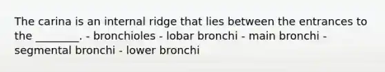 The carina is an internal ridge that lies between the entrances to the ________. - bronchioles - lobar bronchi - main bronchi - segmental bronchi - lower bronchi