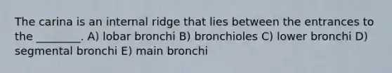 The carina is an internal ridge that lies between the entrances to the ________. A) lobar bronchi B) bronchioles C) lower bronchi D) segmental bronchi E) main bronchi