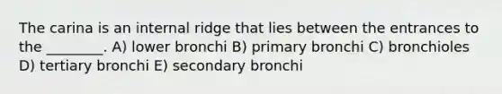 The carina is an internal ridge that lies between the entrances to the ________. A) lower bronchi B) primary bronchi C) bronchioles D) tertiary bronchi E) secondary bronchi