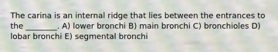 The carina is an internal ridge that lies between the entrances to the ________. A) lower bronchi B) main bronchi C) bronchioles D) lobar bronchi E) segmental bronchi