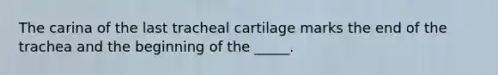 The carina of the last tracheal cartilage marks the end of the trachea and the beginning of the _____.