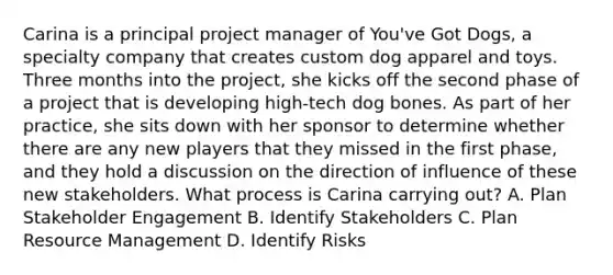 Carina is a principal project manager of You've Got Dogs, a specialty company that creates custom dog apparel and toys. Three months into the project, she kicks off the second phase of a project that is developing high-tech dog bones. As part of her practice, she sits down with her sponsor to determine whether there are any new players that they missed in the first phase, and they hold a discussion on the direction of influence of these new stakeholders. What process is Carina carrying out? A. Plan Stakeholder Engagement B. Identify Stakeholders C. Plan Resource Management D. Identify Risks