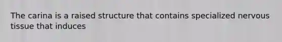 The carina is a raised structure that contains specialized nervous tissue that induces