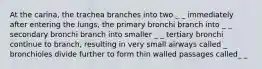 At the carina, the trachea branches into two _ _ immediately after entering the lungs, the primary bronchi branch into _ _ secondary bronchi branch into smaller _ _ tertiary bronchi continue to branch, resulting in very small airways called _ bronchioles divide further to form thin walled passages called_ _