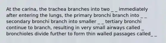 At the carina, the trachea branches into two _ _ immediately after entering the lungs, the primary bronchi branch into _ _ secondary bronchi branch into smaller _ _ tertiary bronchi continue to branch, resulting in very small airways called _ bronchioles divide further to form thin walled passages called_ _