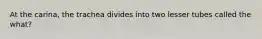 At the carina, the trachea divides into two lesser tubes called the what?