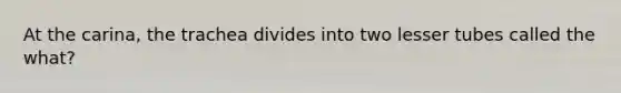 At the carina, the trachea divides into two lesser tubes called the what?