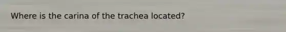 Where is the carina of the trachea located?