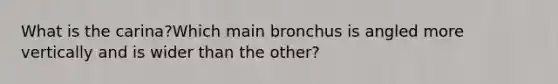 What is the carina?Which main bronchus is angled more vertically and is wider than the other?