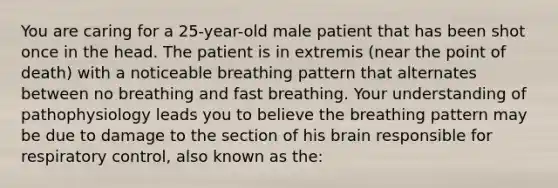 You are caring for a 25-year-old male patient that has been shot once in the head. The patient is in extremis (near the point of death) with a noticeable breathing pattern that alternates between no breathing and fast breathing. Your understanding of pathophysiology leads you to believe the breathing pattern may be due to damage to the section of his brain responsible for respiratory control, also known as the: