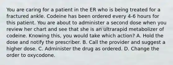 You are caring for a patient in the ER who is being treated for a fractured ankle. Codeine has been ordered every 4-6 hours for this patient. You are about to administer a second dose when you review her chart and see that she is an ultrarapid metabolizer of codeine. Knowing this, you would take which action? A. Hold the dose and notify the prescriber. B. Call the provider and suggest a higher dose. C. Administer the drug as ordered. D. Change the order to oxycodone.