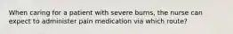 When caring for a patient with severe burns, the nurse can expect to administer pain medication via which route?