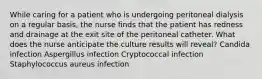 While caring for a patient who is undergoing peritoneal dialysis on a regular basis, the nurse finds that the patient has redness and drainage at the exit site of the peritoneal catheter. What does the nurse anticipate the culture results will reveal? Candida infection Aspergillus infection Cryptococcal infection Staphylococcus aureus infection