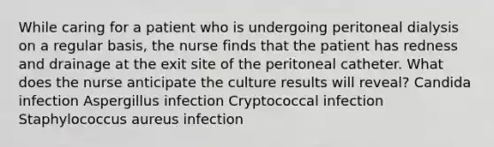 While caring for a patient who is undergoing peritoneal dialysis on a regular basis, the nurse finds that the patient has redness and drainage at the exit site of the peritoneal catheter. What does the nurse anticipate the culture results will reveal? Candida infection Aspergillus infection Cryptococcal infection Staphylococcus aureus infection