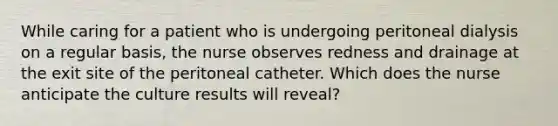 While caring for a patient who is undergoing peritoneal dialysis on a regular basis, the nurse observes redness and drainage at the exit site of the peritoneal catheter. Which does the nurse anticipate the culture results will reveal?