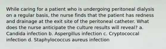 While caring for a patient who is undergoing peritoneal dialysis on a regular basis, the nurse finds that the patient has redness and drainage at the exit site of the peritoneal catheter. What does the nurse anticipate the culture results will reveal? a. Candida infection b. Aspergillus infection c. Cryptococcal infection d. Staphylococcus aureus infection