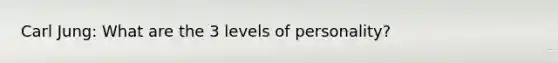 Carl Jung: What are the 3 levels of personality?