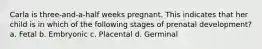 Carla is three-and-a-half weeks pregnant. This indicates that her child is in which of the following stages of prenatal development? a. Fetal b. Embryonic c. Placental d. Germinal