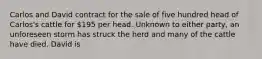 Carlos and David contract for the sale of five hundred head of Carlos's cattle for 195 per head. Unknown to either party, an unforeseen storm has struck the herd and many of the cattle have died. David is