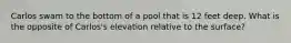 Carlos swam to the bottom of a pool that is 12 feet deep. What is the opposite of Carlos's elevation relative to the surface?