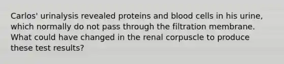 Carlos' urinalysis revealed proteins and blood cells in his urine, which normally do not pass through the filtration membrane. What could have changed in the renal corpuscle to produce these test results?