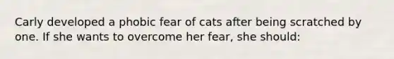 Carly developed a phobic fear of cats after being scratched by one. If she wants to overcome her fear, she should: