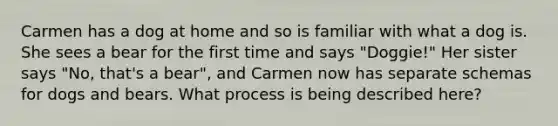 Carmen has a dog at home and so is familiar with what a dog is. She sees a bear for the first time and says "Doggie!" Her sister says "No, that's a bear", and Carmen now has separate schemas for dogs and bears. What process is being described here?