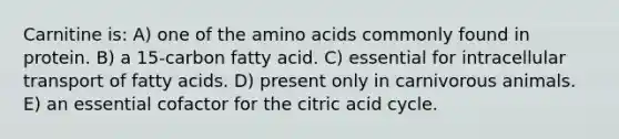 Carnitine is: A) one of the amino acids commonly found in protein. B) a 15-carbon fatty acid. C) essential for intracellular transport of fatty acids. D) present only in carnivorous animals. E) an essential cofactor for the citric acid cycle.