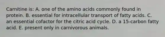 Carnitine is: A. one of the amino acids commonly found in protein. B. essential for intracellular transport of fatty acids. C. an essential cofactor for the citric acid cycle. D. a 15-carbon fatty acid. E. present only in carnivorous animals.