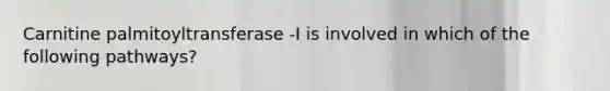 Carnitine palmitoyltransferase -I is involved in which of the following pathways?