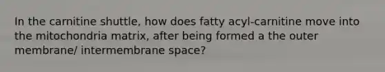 In the carnitine shuttle, how does fatty acyl-carnitine move into the mitochondria matrix, after being formed a the outer membrane/ intermembrane space?