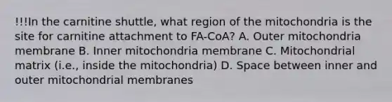 !!!In the carnitine shuttle, what region of the mitochondria is the site for carnitine attachment to FA-CoA? A. Outer mitochondria membrane B. Inner mitochondria membrane C. Mitochondrial matrix (i.e., inside the mitochondria) D. Space between inner and outer mitochondrial membranes