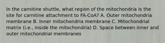 In the carnitine shuttle, what region of the mitochondria is the site for carnitine attachment to FA-CoA? A. Outer mitochondria membrane B. Inner mitochondria membrane C. Mitochondrial matrix (i.e., inside the mitochondria) D. Space between inner and outer mitochondrial membranes