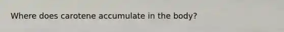 Where does carotene accumulate in the body?