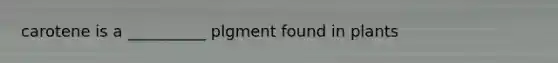carotene is a __________ plgment found in plants