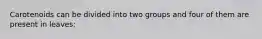 Carotenoids can be divided into two groups and four of them are present in leaves: