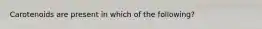 Carotenoids are present in which of the following?