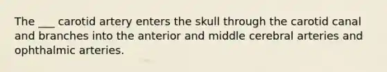 The ___ carotid artery enters the skull through the carotid canal and branches into the anterior and middle cerebral arteries and ophthalmic arteries.