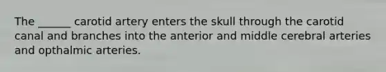 The ______ carotid artery enters the skull through the carotid canal and branches into the anterior and middle cerebral arteries and opthalmic arteries.