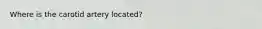 Where is the carotid artery located?