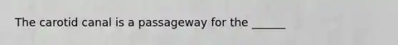 The carotid canal is a passageway for the ______