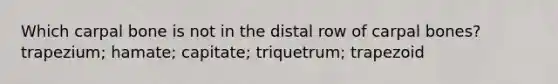 Which carpal bone is not in the distal row of carpal bones? trapezium; hamate; capitate; triquetrum; trapezoid