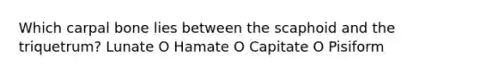 Which carpal bone lies between the scaphoid and the triquetrum? Lunate O Hamate O Capitate O Pisiform