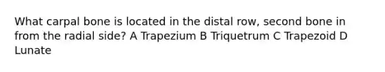 What carpal bone is located in the distal row, second bone in from the radial side? A Trapezium B Triquetrum C Trapezoid D Lunate